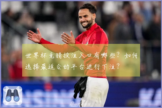 世界杯竞猜投注入口有哪些？如何选择最适合的平台进行下注？