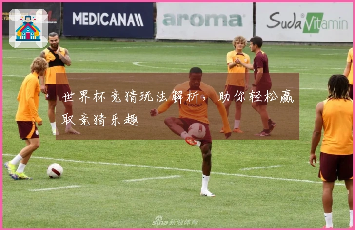 世界杯竞猜玩法解析，助你轻松赢取竞猜乐趣
