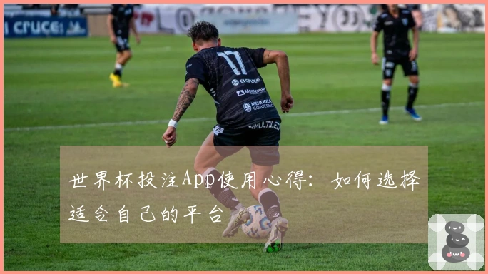 世界杯投注App使用心得：如何选择适合自己的平台