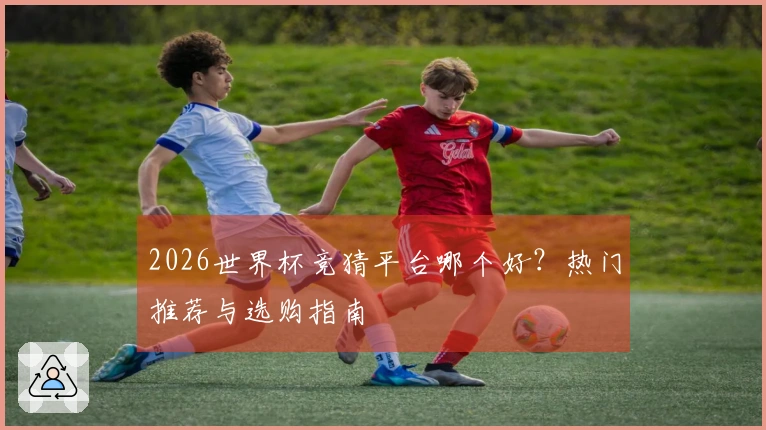 2026世界杯竞猜平台哪个好？热门推荐与选购指南