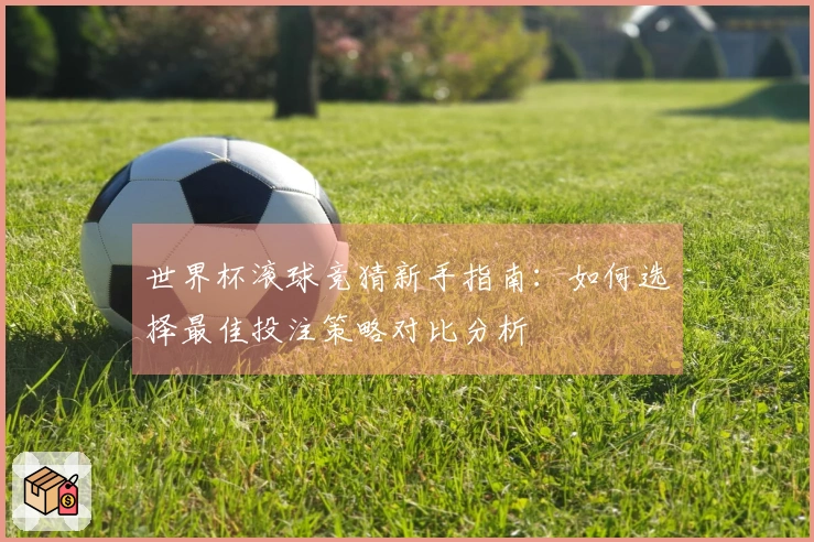 世界杯滚球竞猜新手指南：如何选择最佳投注策略对比分析
