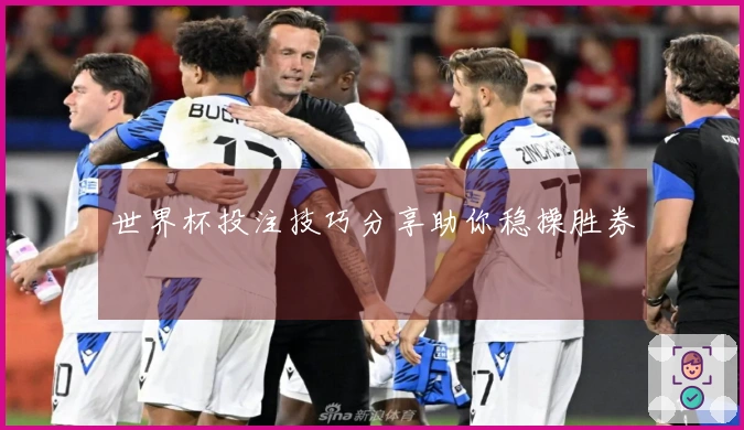 世界杯投注技巧分享助你稳操胜券
