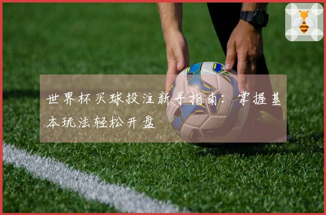世界杯买球投注新手指南：掌握基本玩法轻松开盘